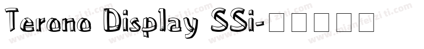 Terono Display SSi字体转换